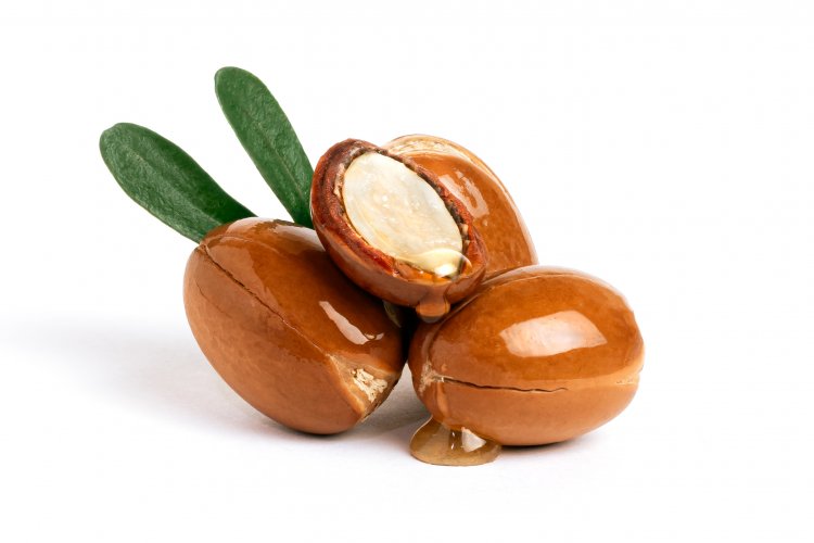 Top Companies In Argan Oil Market By Size Share Historical And Future