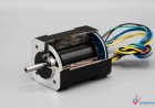 World Top 10 Companies in Brushless DC Motor Market
