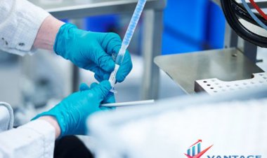 Bioadhesives Industry Report 2034: Size, Trends, Growth, Demand & Insights