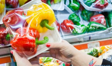 Top Companies in Active Smart and Intelligent Packaging Market in US