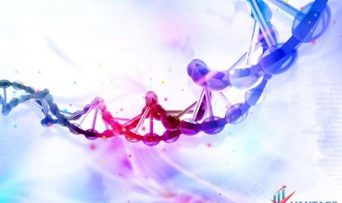 Top 6 Companies Viral Vector and Plasmid DNA Manufacturing Market