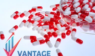 All about Top Companies in Enteric Empty Capsules Market in 10 minutes What You Want to Know