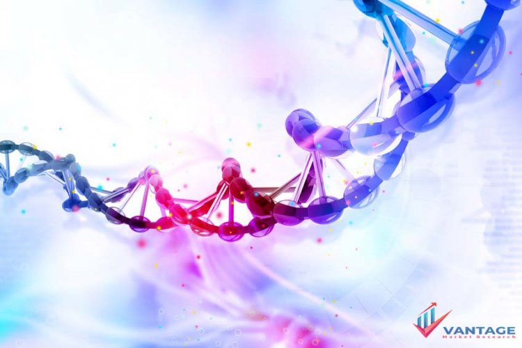 Top 6 Companies Viral Vector and Plasmid DNA Manufacturing Market