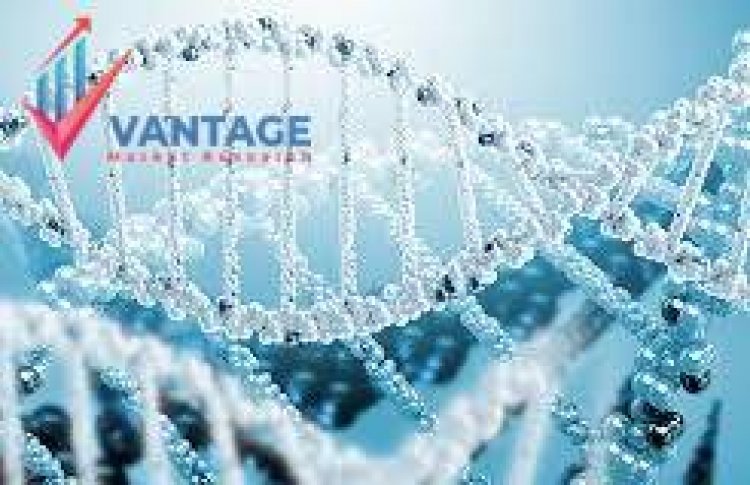 Top Companies in Gene Synthesis Market in 3 Minutes What You Want