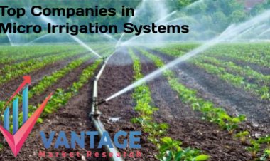 Top Companies in Micro Irrigation Systems Market; the Ultimate Secret Revealed
