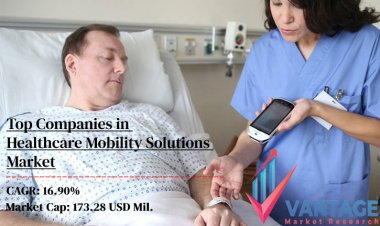 Top Companies in Healthcare Mobility Solutions Market | the Ultimate Secret Your Key to Success