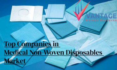 Top Companies in the Medical Non-Woven Disposables Market In-depth Report by VMR