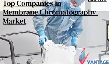 Top Companies in the Membrane Chromatography Market |In-depth analysis and Statistics by VMR