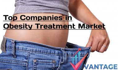Top Companies in Obesity Treatment Market | Strategies, In-depth analysis, Statistics by VMR