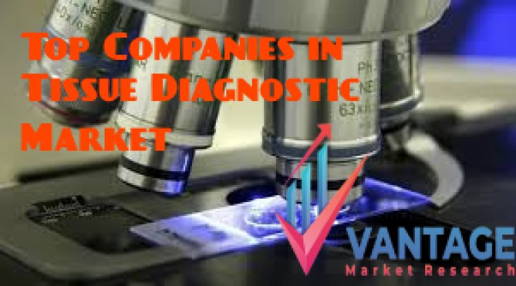 Top Companies in Tissue Diagnostic Market; Read this and Improve Your Organization