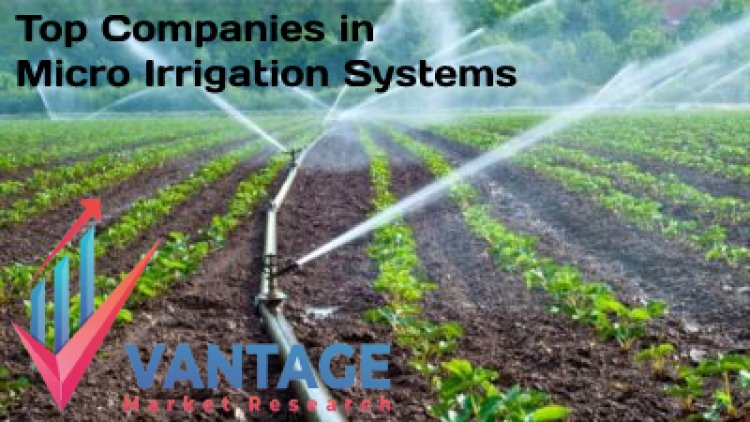 Top Companies in Micro Irrigation Systems Market; the Ultimate Secret Revealed