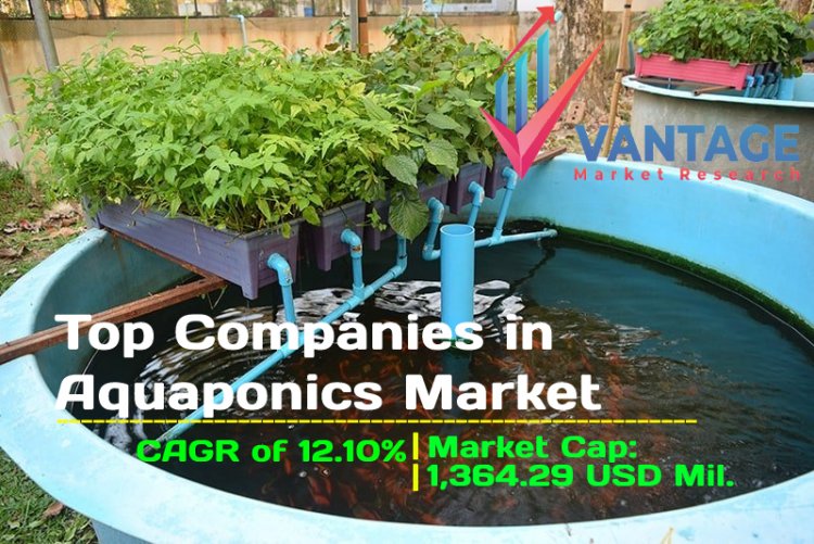 All about Top Companies in Aquaponics Market What You Want to Know in One Click