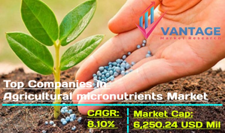 Top Companies in Agricultural Micronutrients Market Detailed Report in 10 Minutes
