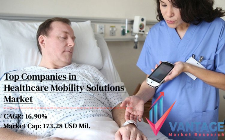 Top Companies in Healthcare Mobility Solutions Market | the Ultimate Secret Your Key to Success