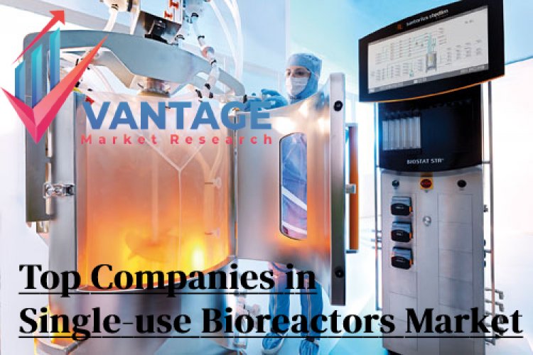 Top Companies in Single-use Bioreactors Market | Don’t Just sit there Click Now, all You Want to Know
