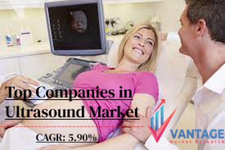 Top Companies in the Ultrasound Market Comprehensive Report is Ready for You