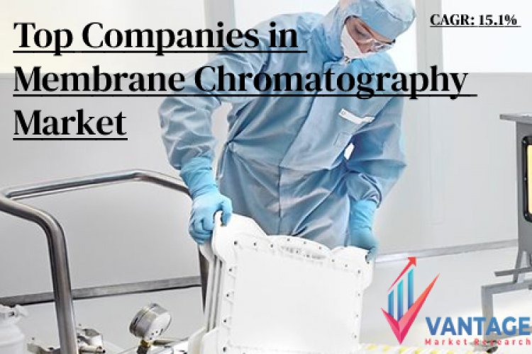 Top Companies in the Membrane Chromatography Market |In-depth analysis and Statistics by VMR