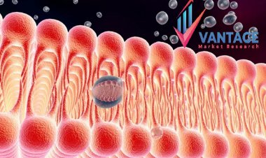 Top Companies in Membrane Market | Leading Players Comprehensive and In-depth Report by Vantage Market Research