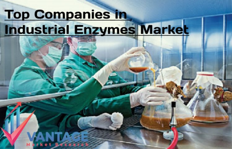 Top Companies in the Industrial Enzymes Market | Growth rate, Insights, Market Outlook by VMR