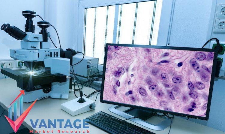 Top Companies in Digital Pathology Market | Leading Players Size, Share, Future and Past data by VMR