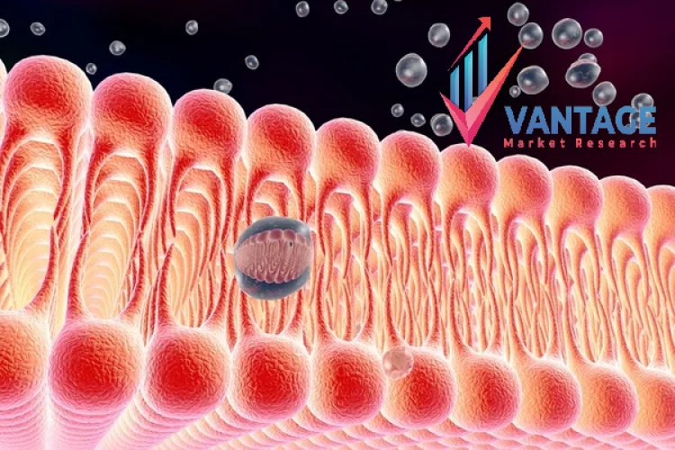 Top Companies in Membrane Market | Leading Players Comprehensive and In-depth Report by Vantage Market Research