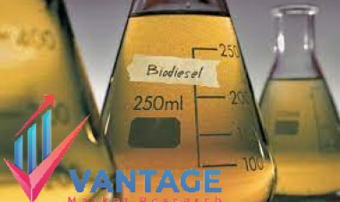 Top Companies in Biodiesel Market | Industry Leading Players Impact Analysis by Vantage Market Research