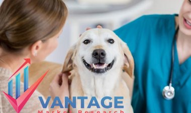 Top Companies in Pet Insurance Market | Industry Major Players Comprehensive Report by VMR