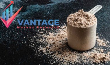 Top Companies in Whey Protein Market | Vantage Market Research Comprehensive Research Report on Top Key Players