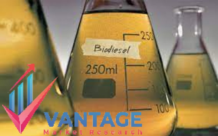 Top Companies in Biodiesel Market | Industry Leading Players Impact Analysis by Vantage Market Research