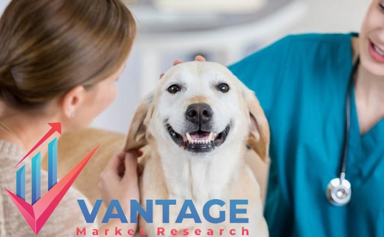 Top Companies in Pet Insurance Market | Industry Major Players Comprehensive Report by VMR