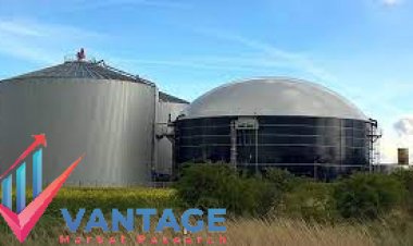 Top Companies in Biogas Market| Top Players of Biogas Industry Comprehensive Research Report by Vantage Market Research | Agrinz, Air Liquide, DMT, Gasum, etc
