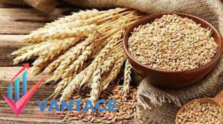 Top Companies in Wheat Market | Growth Analysis of Industry Top Key Players by VMR