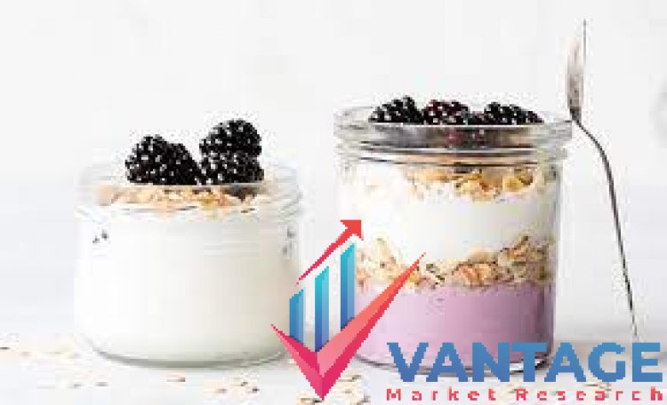 Top Companies in Plant Based Yogurt Market | Major Players of Industry Comprehensive Analysis and Overview by Vantage Market Research