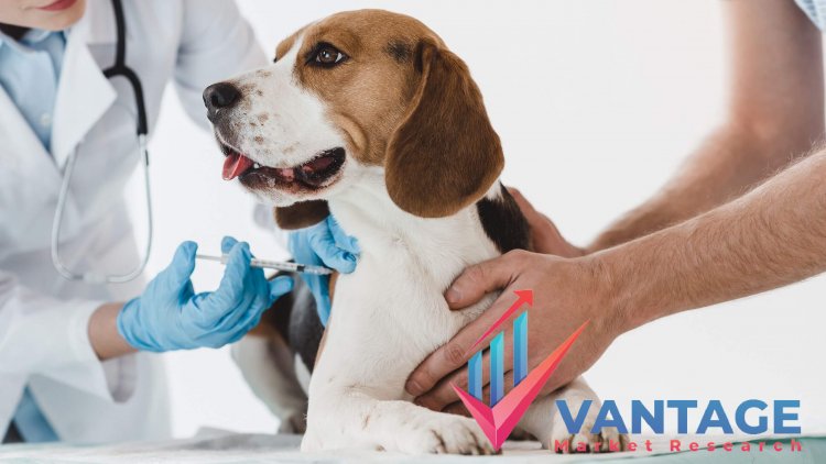 Top Companies in Animal Healthcare Market | Industry Top Players CEVA,  Elanco, Zoetis, etc. | Comprehensive Research Report by Vantage Market  Research - V-MR Blog