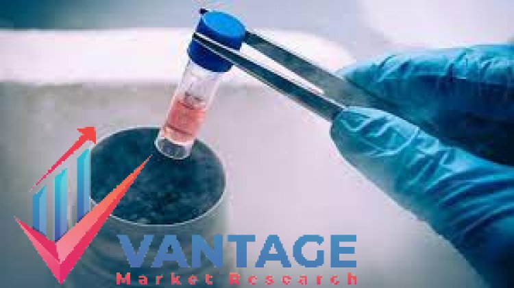 Top Companies in Biobanking Market| Industry Top Players Hamilton, Greiner Holding, Promega, Merck, etc | In-depth Research Report by Vantage Market Research