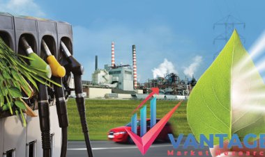 Top Companies in Bioenergy Market | Top Key Players In-depth Research Report by Vantage Market Research | Past Data, Price Analysis, Company Market Share, Competitor Analysis