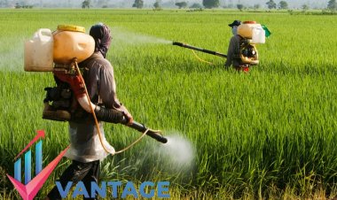 Top Companies in Crop Protection Chemicals Market | Top Key Players Market Research Report by Vantage Market Research | Market Size & Share Analysis, Growth Rate, Historic Data