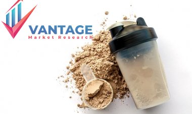 Top Companies in Natural Protein Powder Market | Major Players of Industry Full Research Report | Statistics, Supply and Demand, Revenue, Price Analysis | Vantage Market Research