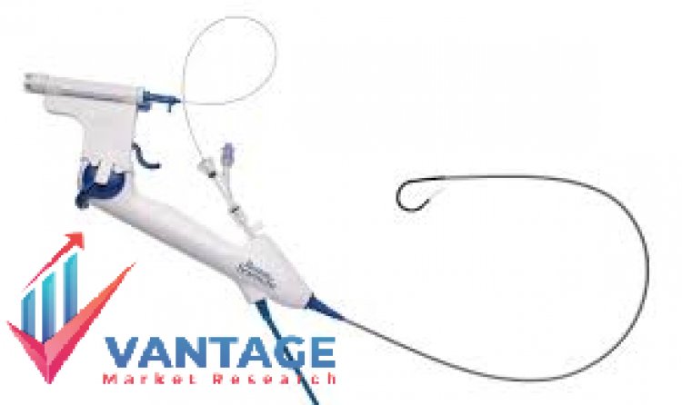Top Companies in Disposable Ureteroscope Market | Key Players In-depth and Comprehensive Research Report | Size, Share, Growth rate, by Vantage Market Research