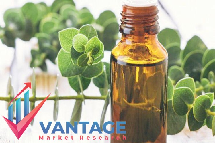 Top Companies in Trait Enhanced Oils Market | Market Top Key Players Company Size & Share, Growth analysis, Sales Volume, | Vantage Market Research