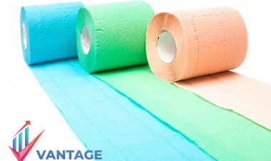 Top Companies in Tissue Paper Market | Industry Major Players Market Insights, In-depth Growth Analysis, Company Size & Share | Vantage Market Research