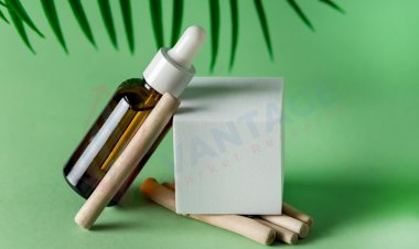 Top Companies in Bakuchiol Market | Leading Companies in Bakuchiol Industry Trends Analysis, Size, Share Detailed Research Report