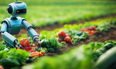 Top Companies in AI in Agriculture Market by Size, Share, Historical and Future Data & CAGR | Report by Vantage Market Research Market