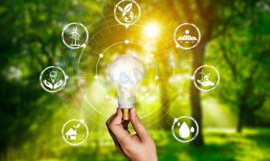 Top Companies in Renewable Energy Market by Size, Share, Historical and Future Data & CAGR | Report by Vantage Market Research Market