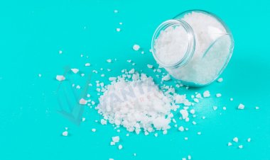 Top Companies in Sodium Monofluorophosphate Market by Size, Share, Historical and Future Data & CAGR | Report by Vantage Market Research