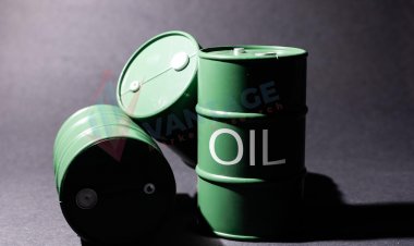 Top Companies in Waste Oil Market by Size, Share, Historical and Future Data & CAGR | Report by Vantage Market Research