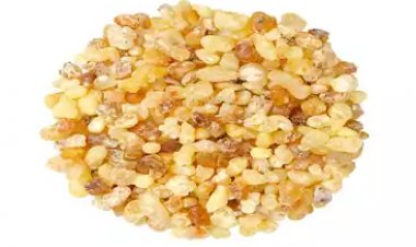 Top Companies in Hydrogenation Petroleum Resin Market by Size, Share, Historical and Future Data & CAGR | Report by Vantage Market Research