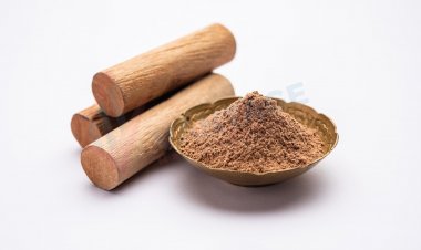 Top Companies in Licorice Extract Powder Market by Size, Share, Historical and Future Data & CAGR | Report by Vantage Market Research