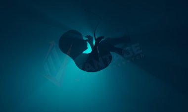 Top Companies in Artificial Womb Facility Market by Size, Share, Historical and Future Data & CAGR | Report by Vantage Market Research