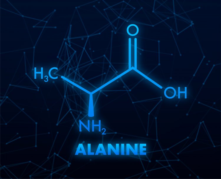 Top Companies in L-Alanine Market by Size, Share, Historical and Future Data & CAGR | Report by Vantage Market Research